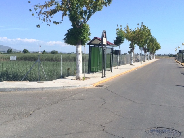 Solado del acerado del paseo Pablo Iglesias