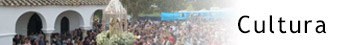 Acceso a la página de cultura